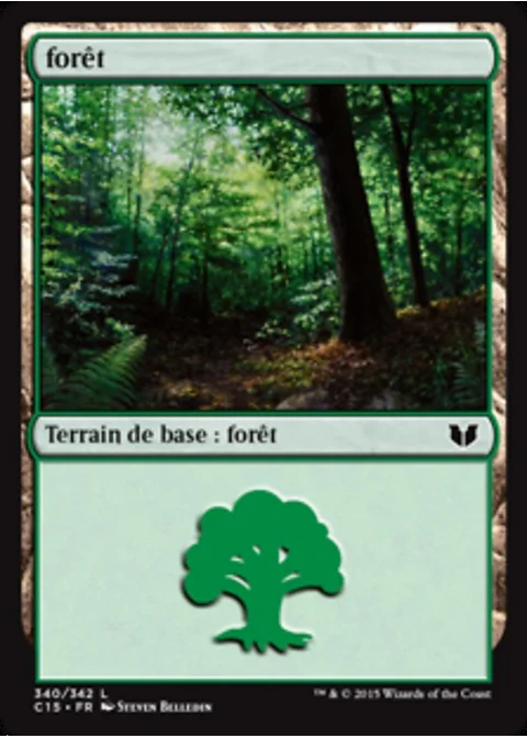 forêt