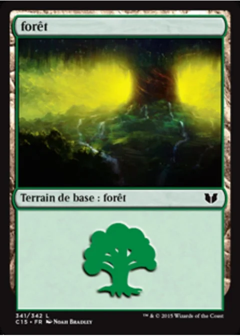 forêt