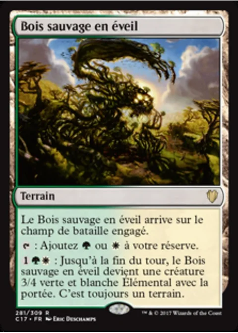 Bois sauvage en éveil