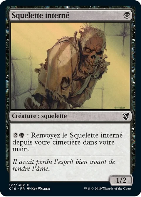 Squelette interné