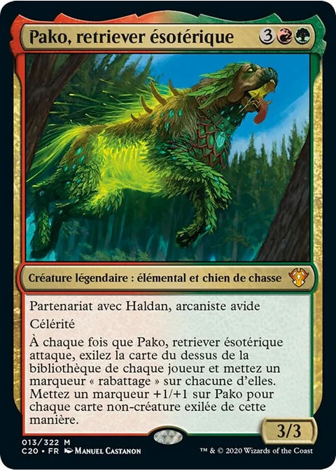 Pako, retriever ésotérique