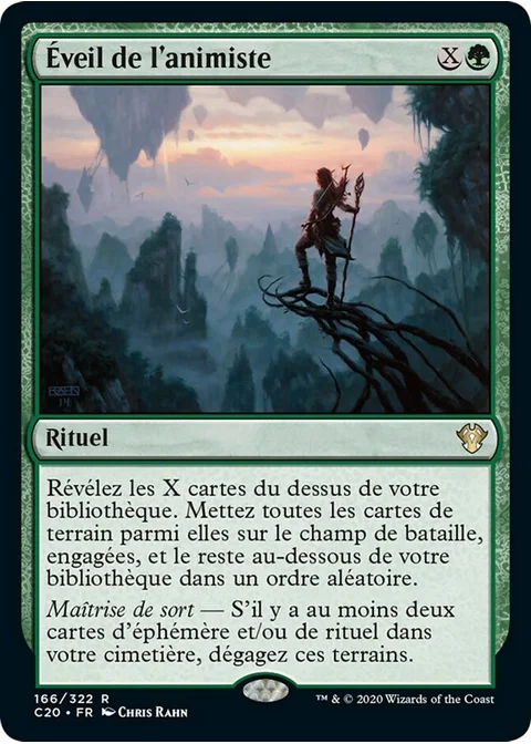 Éveil de l'animiste