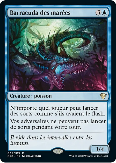 Barracuda des marées