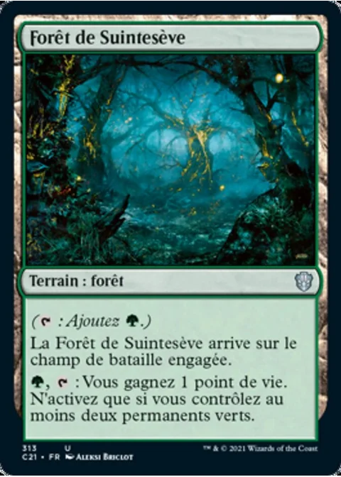 Forêt de Suintesève