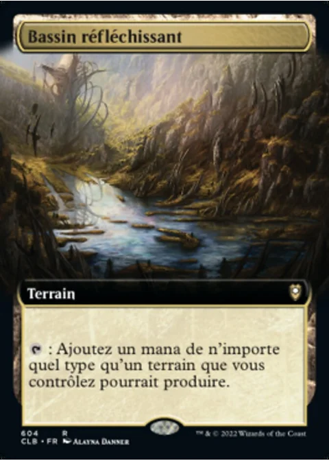 Bassin réfléchissant