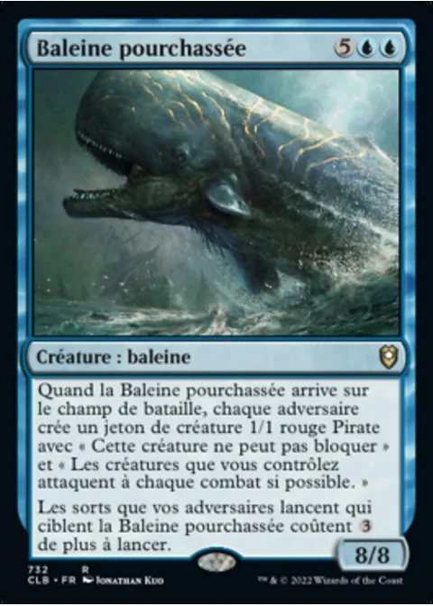 Baleine pourchassée
