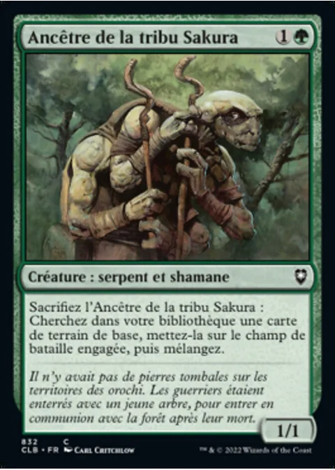 Ancêtre de la tribu Sakura