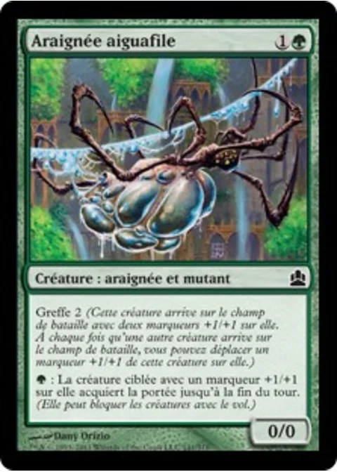 Araignée aiguafile