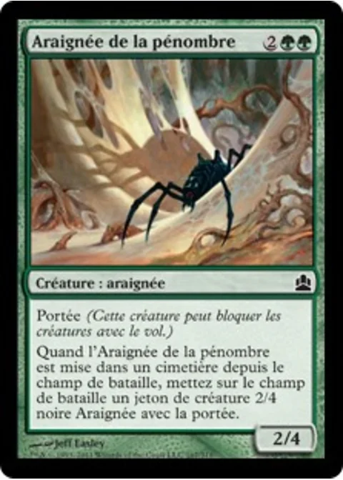 Araignée de la pénombre
