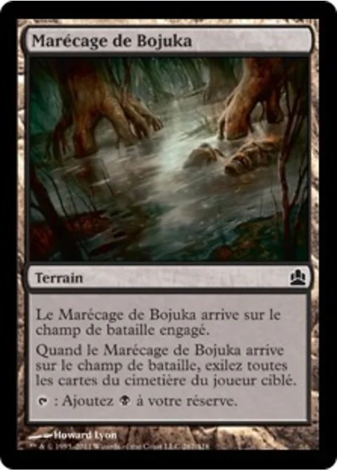 Marécage de Bojuka