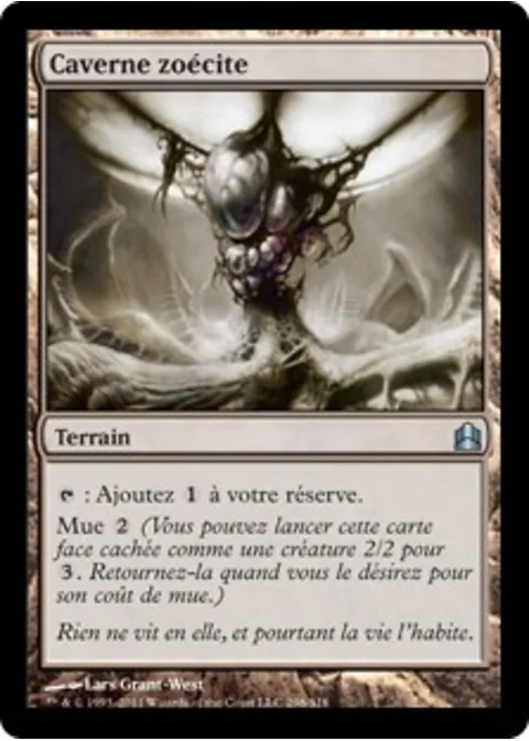 Caverne zoécite