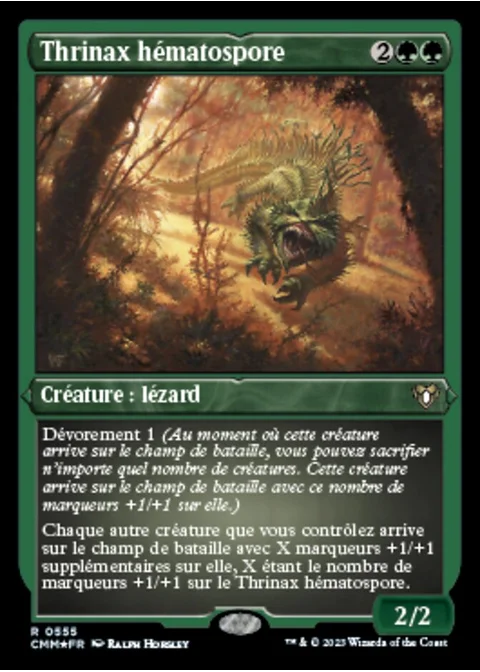 Thrinax hématospore