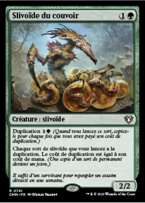 Slivoïde du couvoir