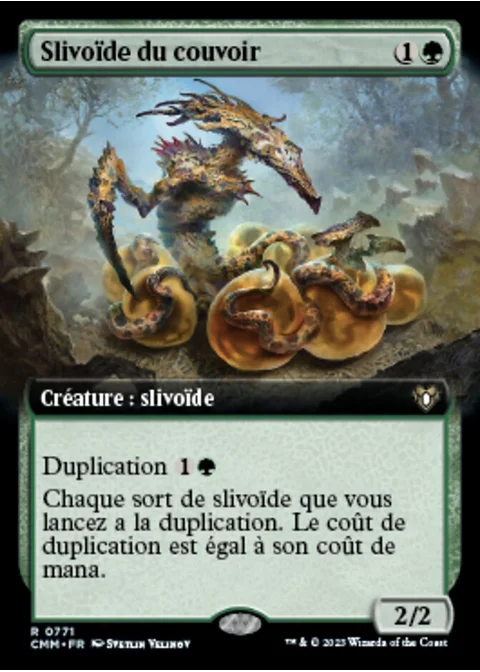 Slivoïde du couvoir