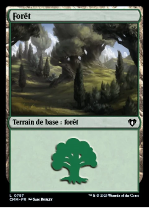 Forêt