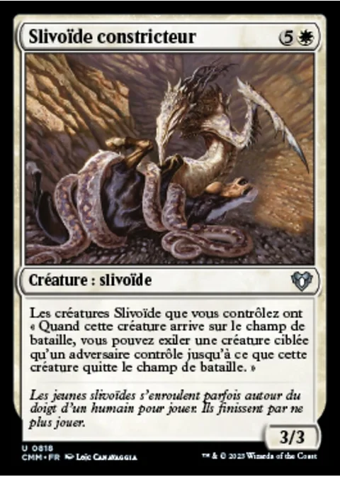 Slivoïde constricteur