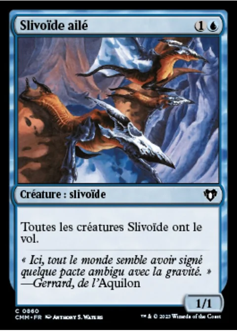 Slivoïde ailé