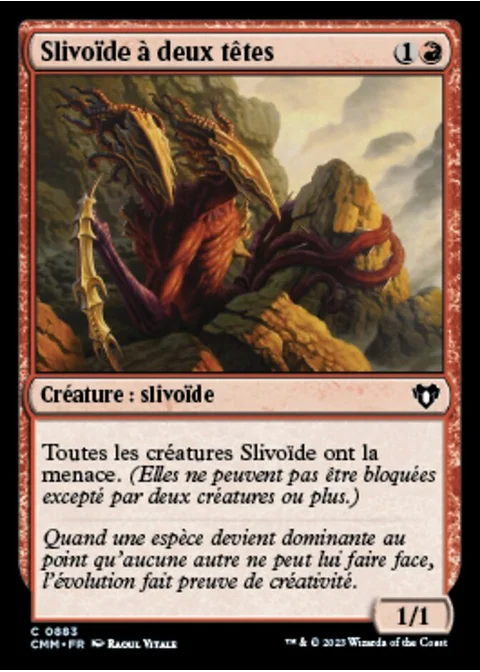 Slivoïde à deux têtes