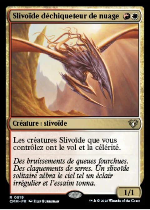 Slivoïde déchiqueteur de nuage