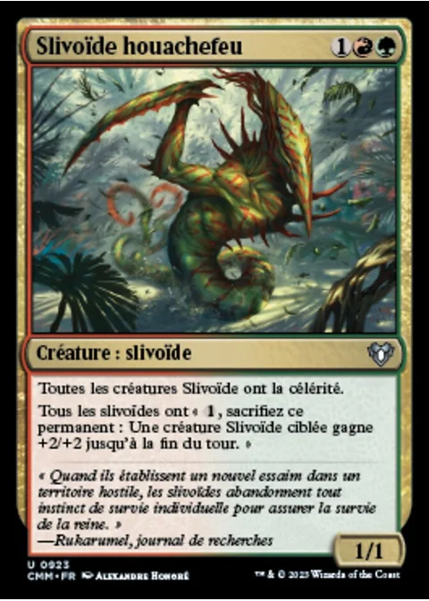 Slivoïde houachefeu