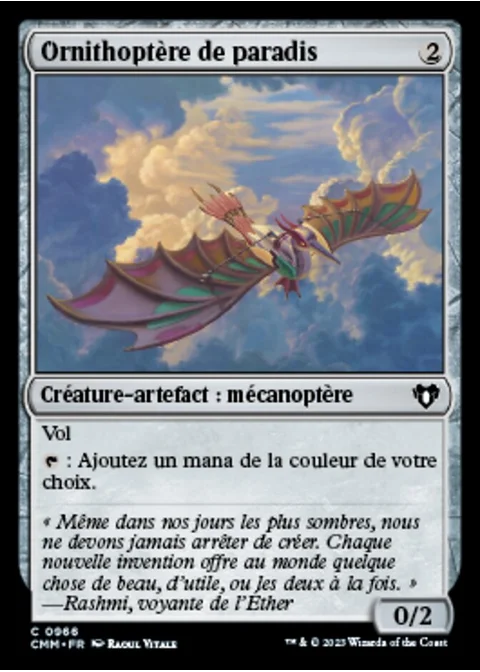 Ornithoptère de paradis