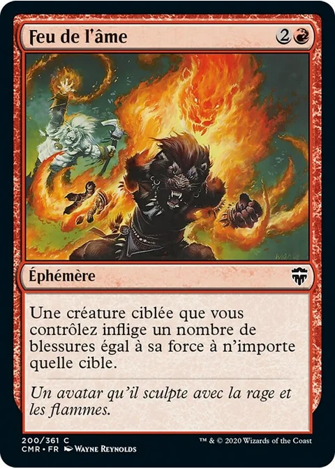 Feu de l'âme