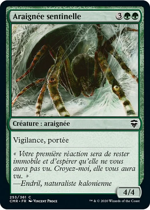 Araignée sentinelle