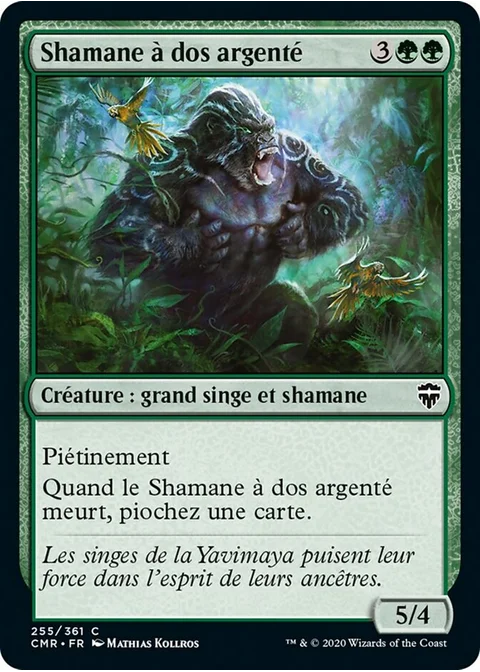 Shamane à dos argenté