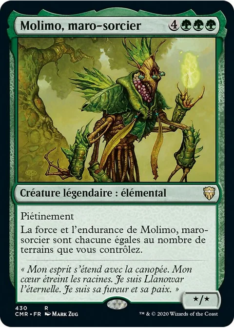 Molimo, maro-sorcier