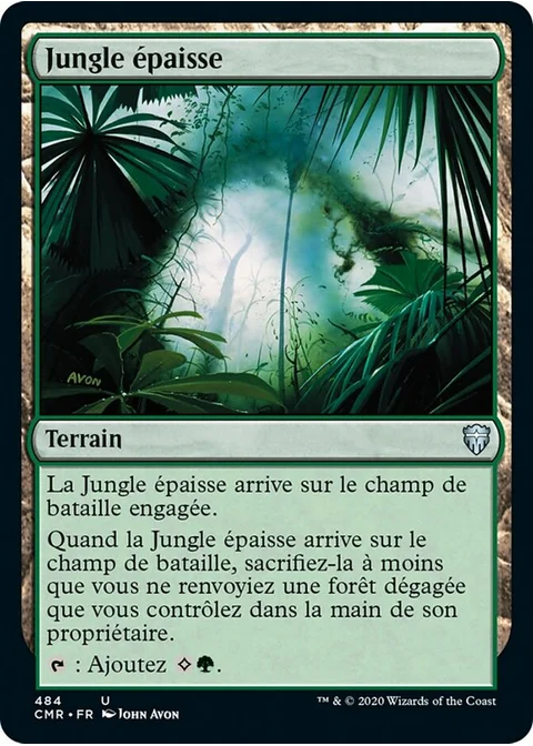 Jungle épaisse