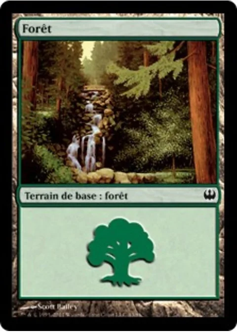 Forêt