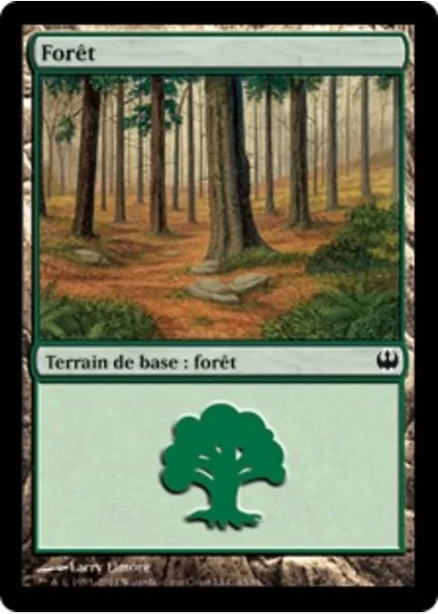 Forêt