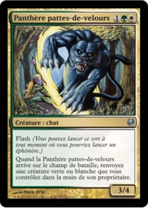 Panthère pattes-de-velours