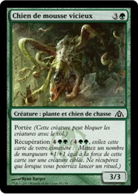 Chien de mousse vicieux