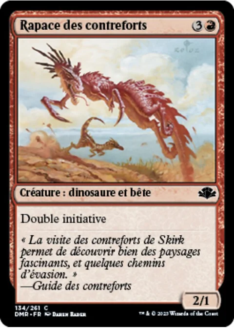 Rapace des contreforts