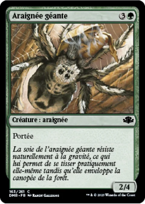 Araignée géante