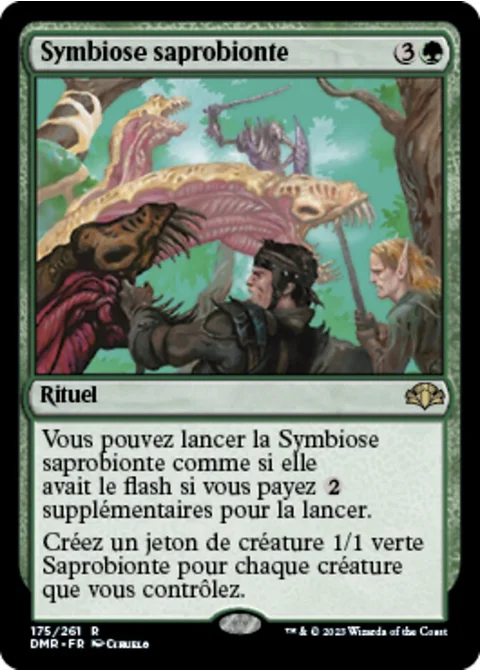 Symbiose saprobionte