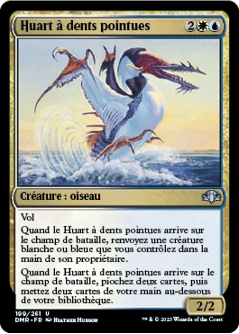 Huart à dents pointues