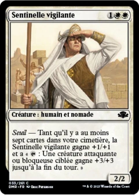 Sentinelle vigilante