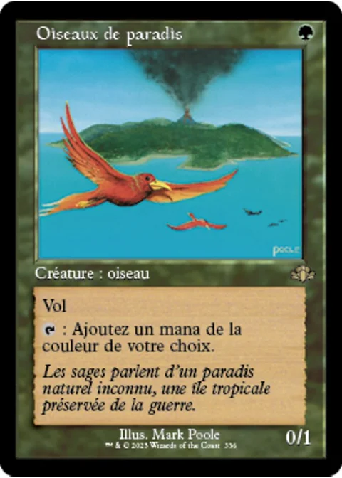 Oiseaux de paradis