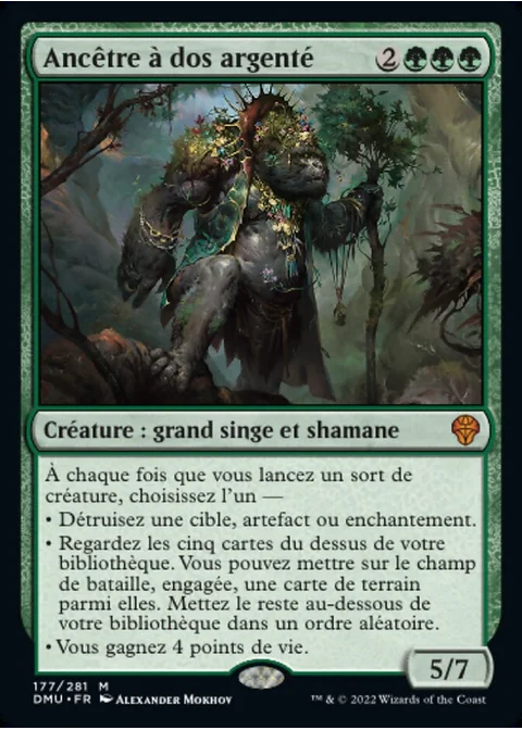 Ancêtre à dos argenté