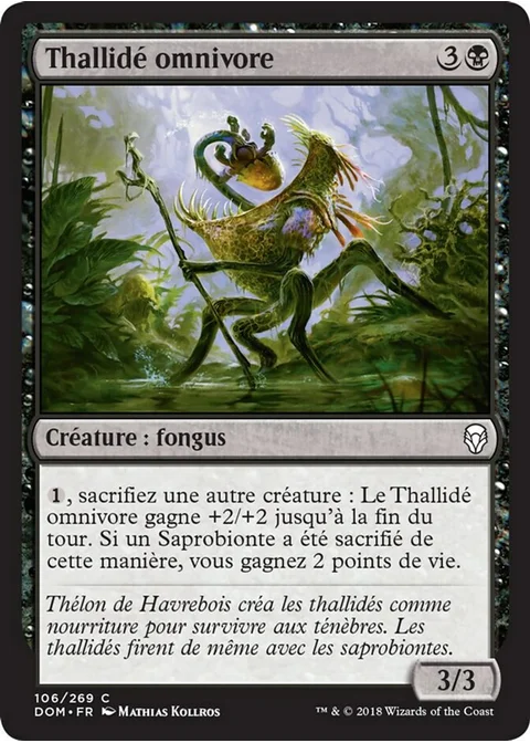 Thallidé omnivore
