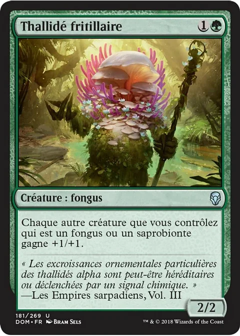 Thallidé fritillaire