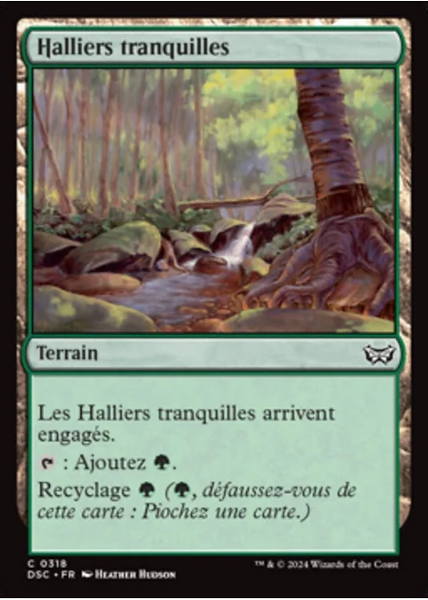 Halliers tranquilles