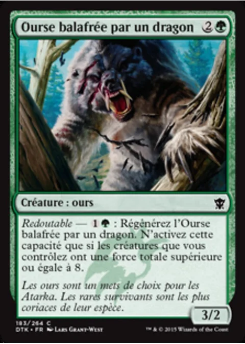 Ourse balafrée par un dragon