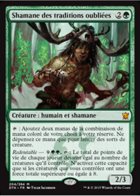 Shamane des traditions oubliées