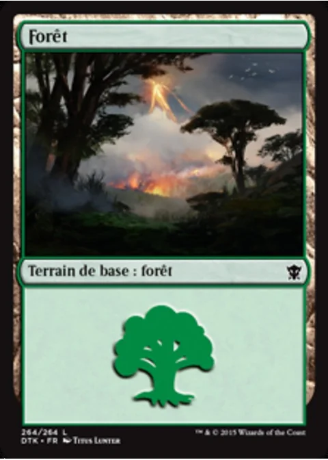 forêt