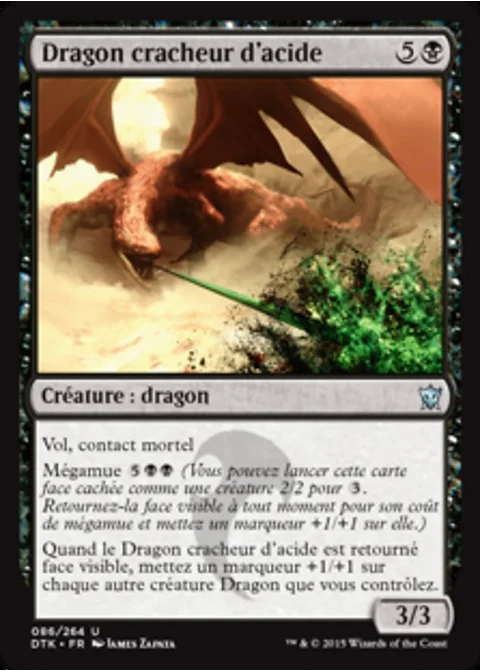 Dragon cracheur d'acide