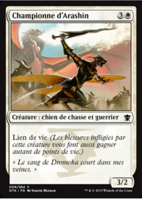 Championne d'Arashin