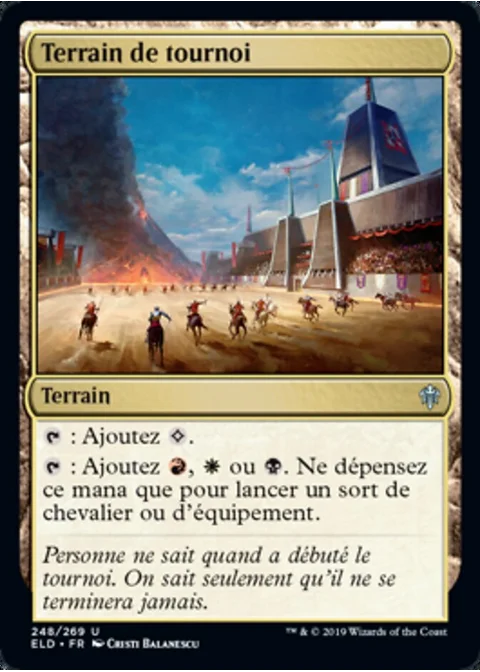 Terrain de tournoi